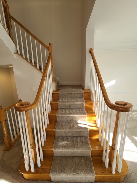Staircase to 3rd Floor - 25807 Turlough Ter