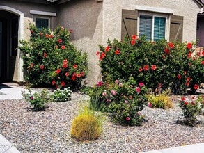 Building Photo - 2516 E King Bird Dr