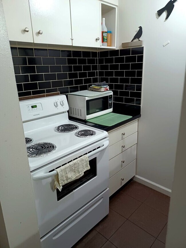 Building Photo - Large Private Girl  Room Downtown ASAP - Balcony, Storage and more