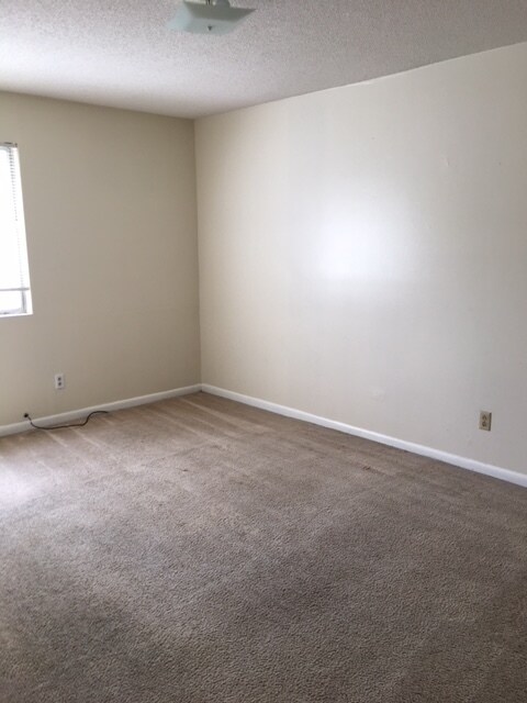 Building Photo - 2 Bedroom Apartment.  Walk to VSU.