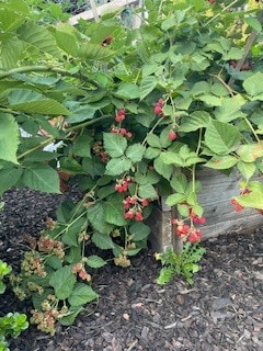 Building Photo - 5017 55th Ave