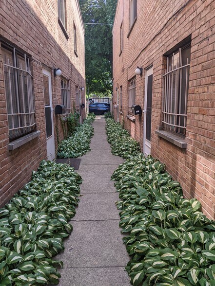 Building Photo - 934 W Wolfram St