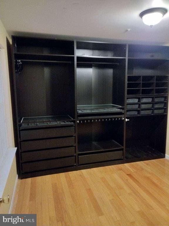 Building Photo - 713 Bonnie Meadow Ln