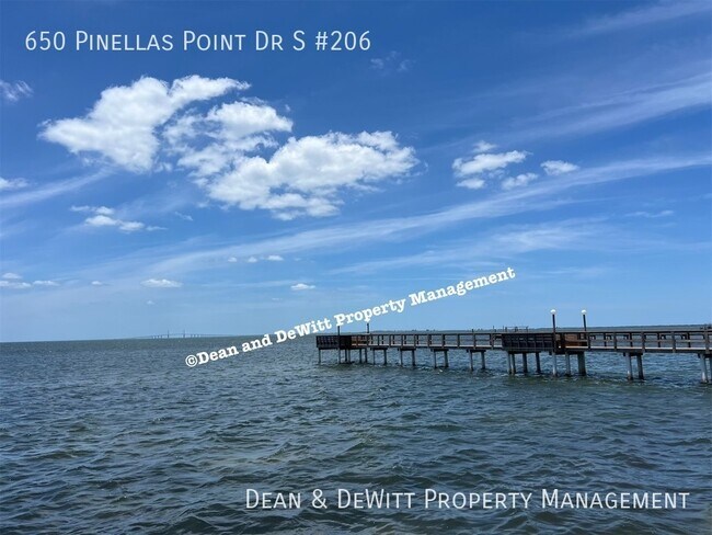 Building Photo - 650 Pinellas Point Dr S