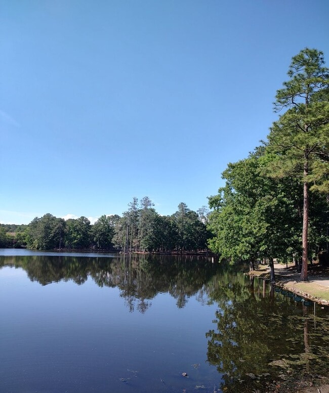Building Photo - Modern  2BR  1.5  Bath  Townhome  in  Harbison  – Beautifully  renovated  with  Private  Yard  & ...
