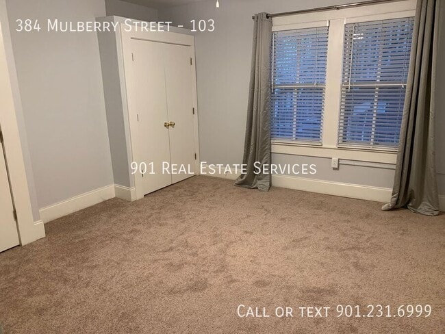 Building Photo - 384 Mulberry St