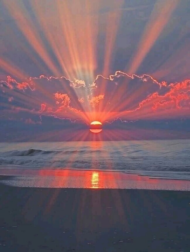 Building Photo - 500 Gulf Shore Dr