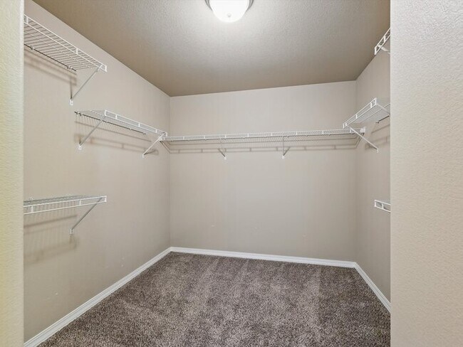Building Photo - 8308 Needle Drop Ct