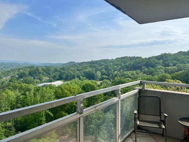 Building Photo - 1131 Stringers Ridge Rd