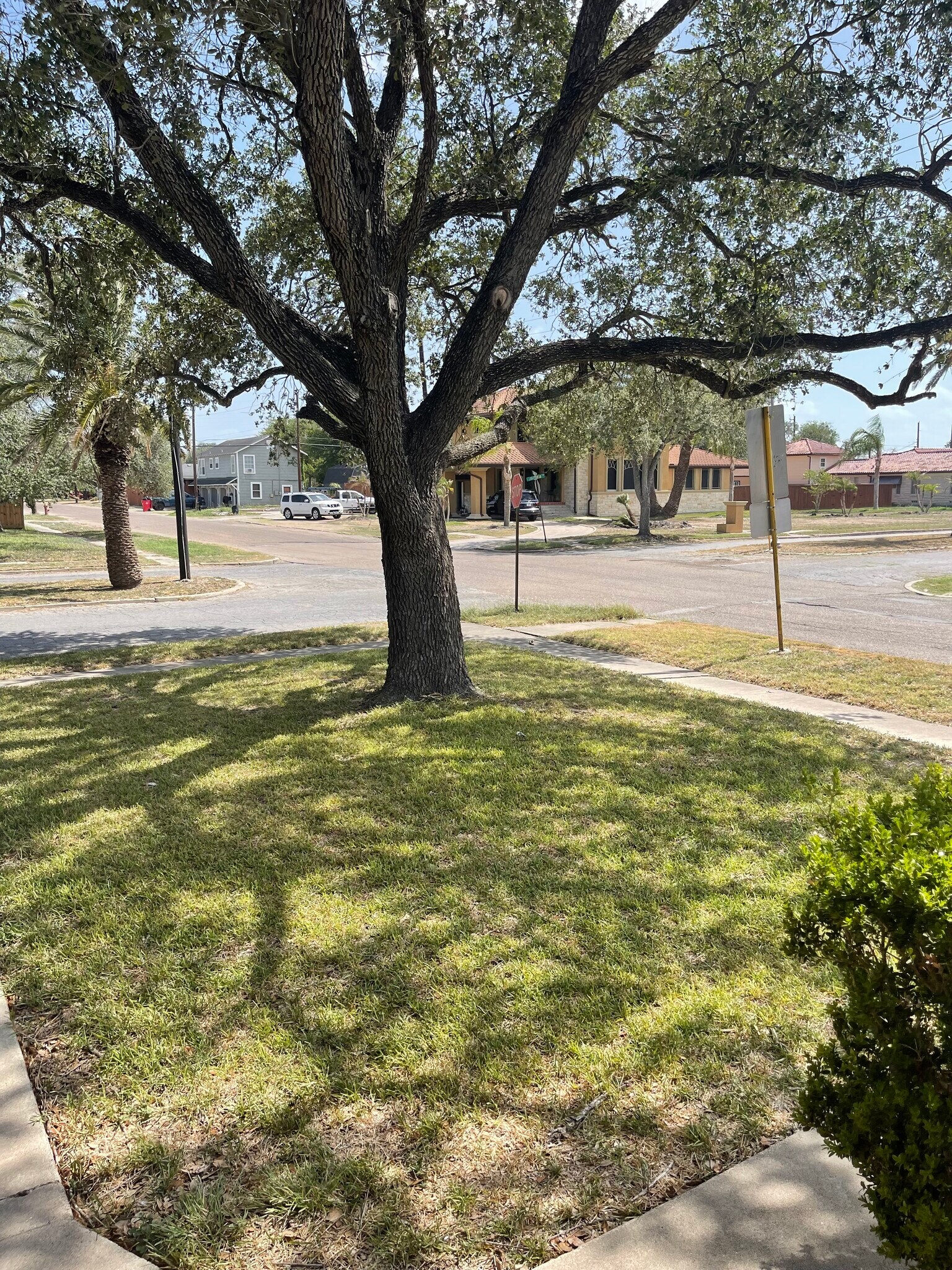 Building Photo - 208 E Ligustrum Blvd