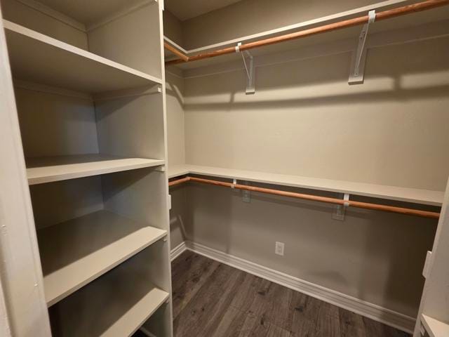 Building Photo - 2404 Morningside St