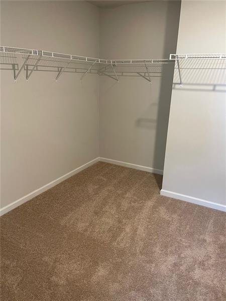 Building Photo - 92 Shelter Ln E