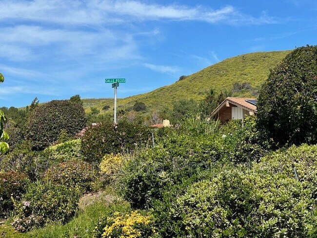 Building Photo - 1390 Calle Pecos