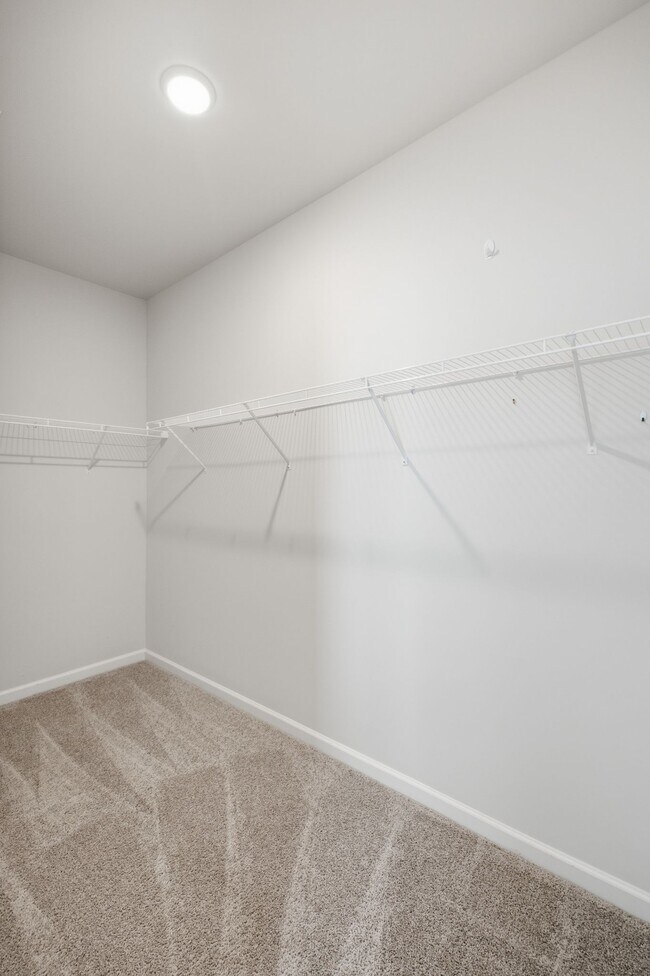 Building Photo - 3707 Clementine Ln