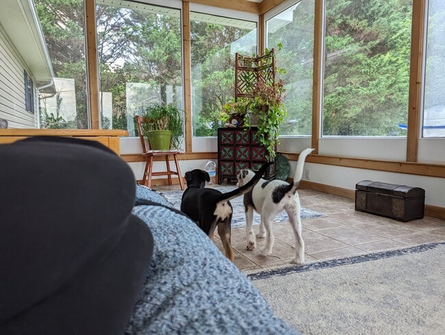 Building Photo - 116 Hidden Valley Dr