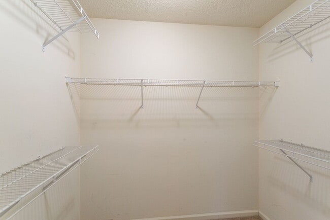 Building Photo - 5 E Pinto Ct