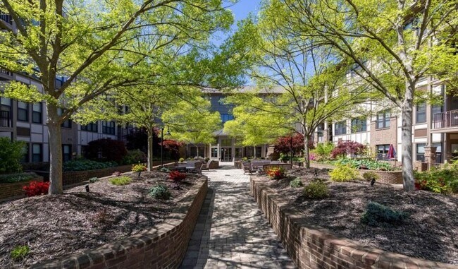 Building Photo - 445 W Blount Ave