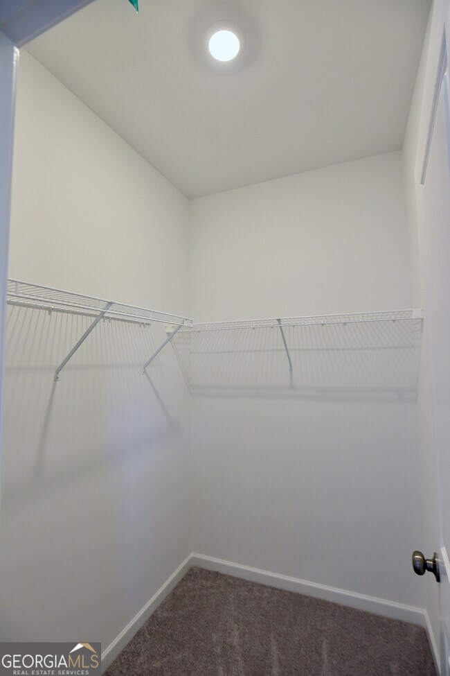 Building Photo - 2839 Rosehall Way