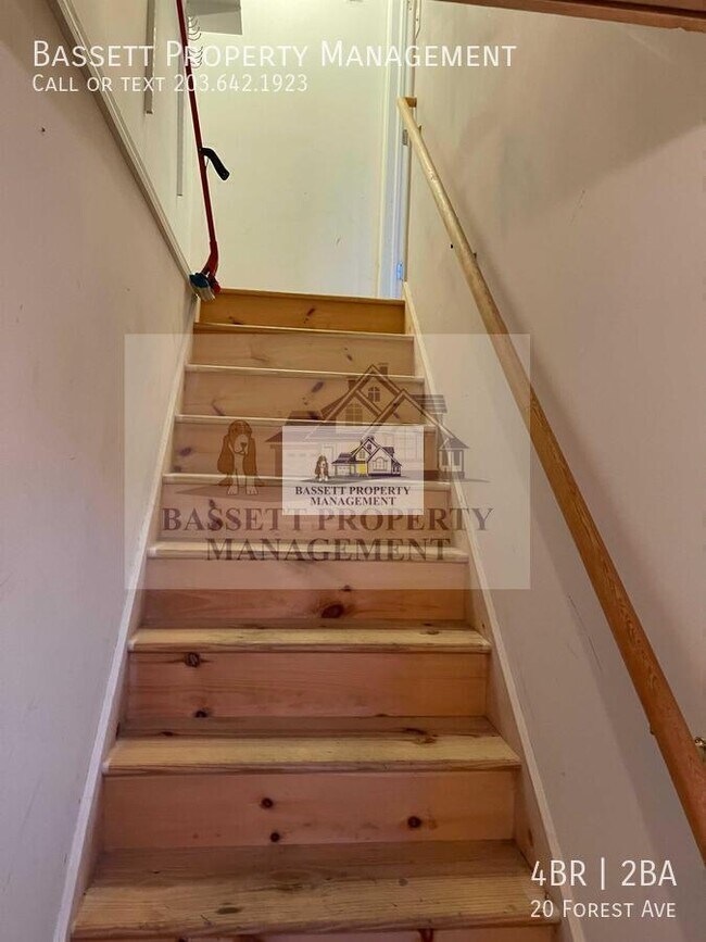 Building Photo - 20 Forest Ave