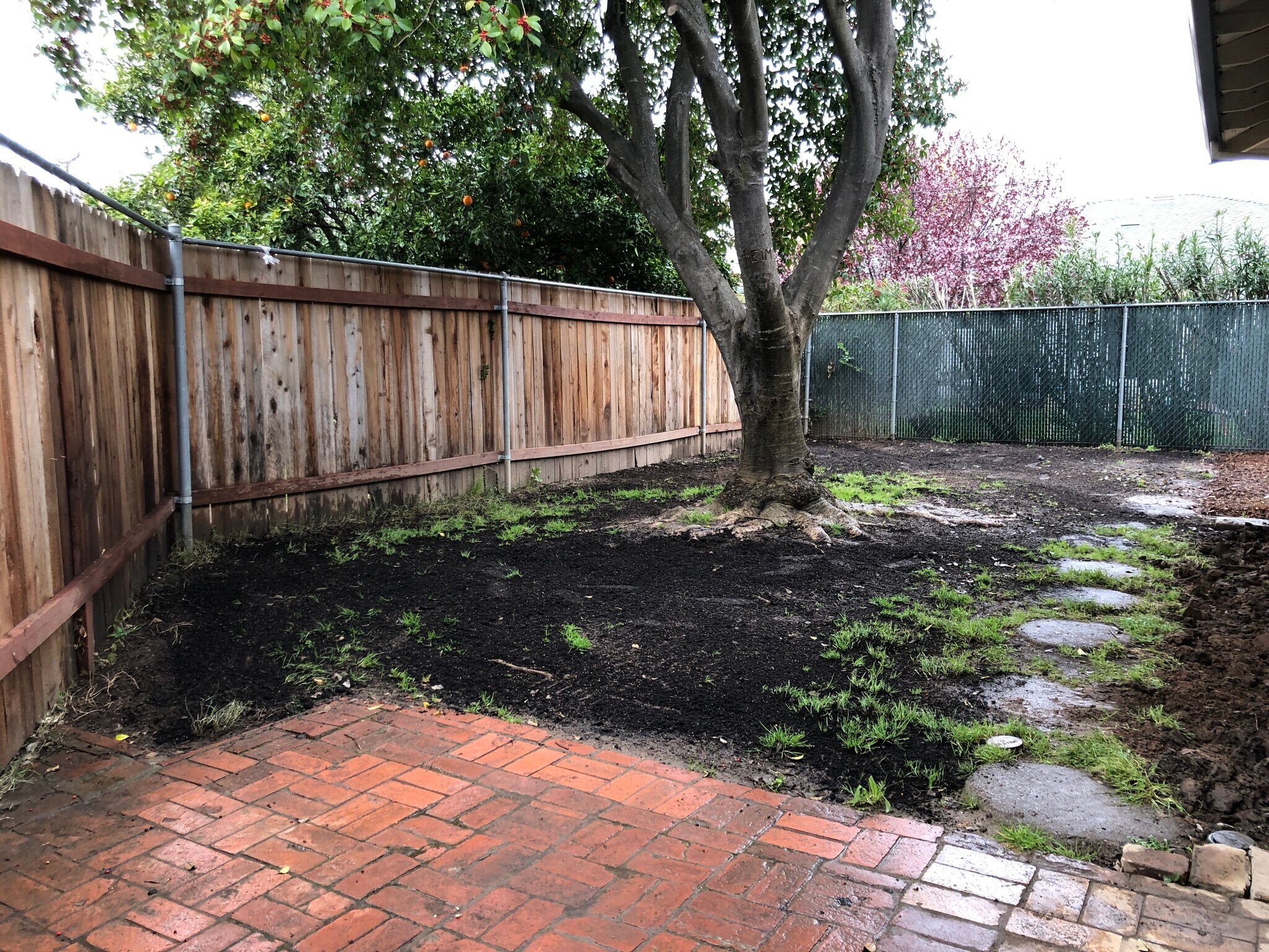 Building Photo - 4101 Newell Street