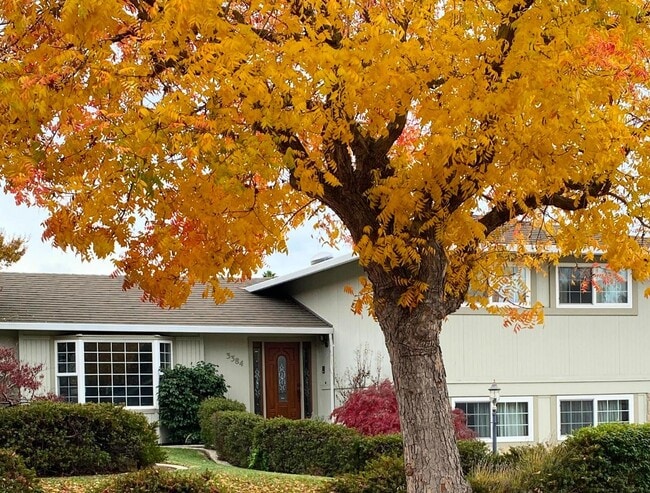 Building Photo - 3384 Burgundy Dr