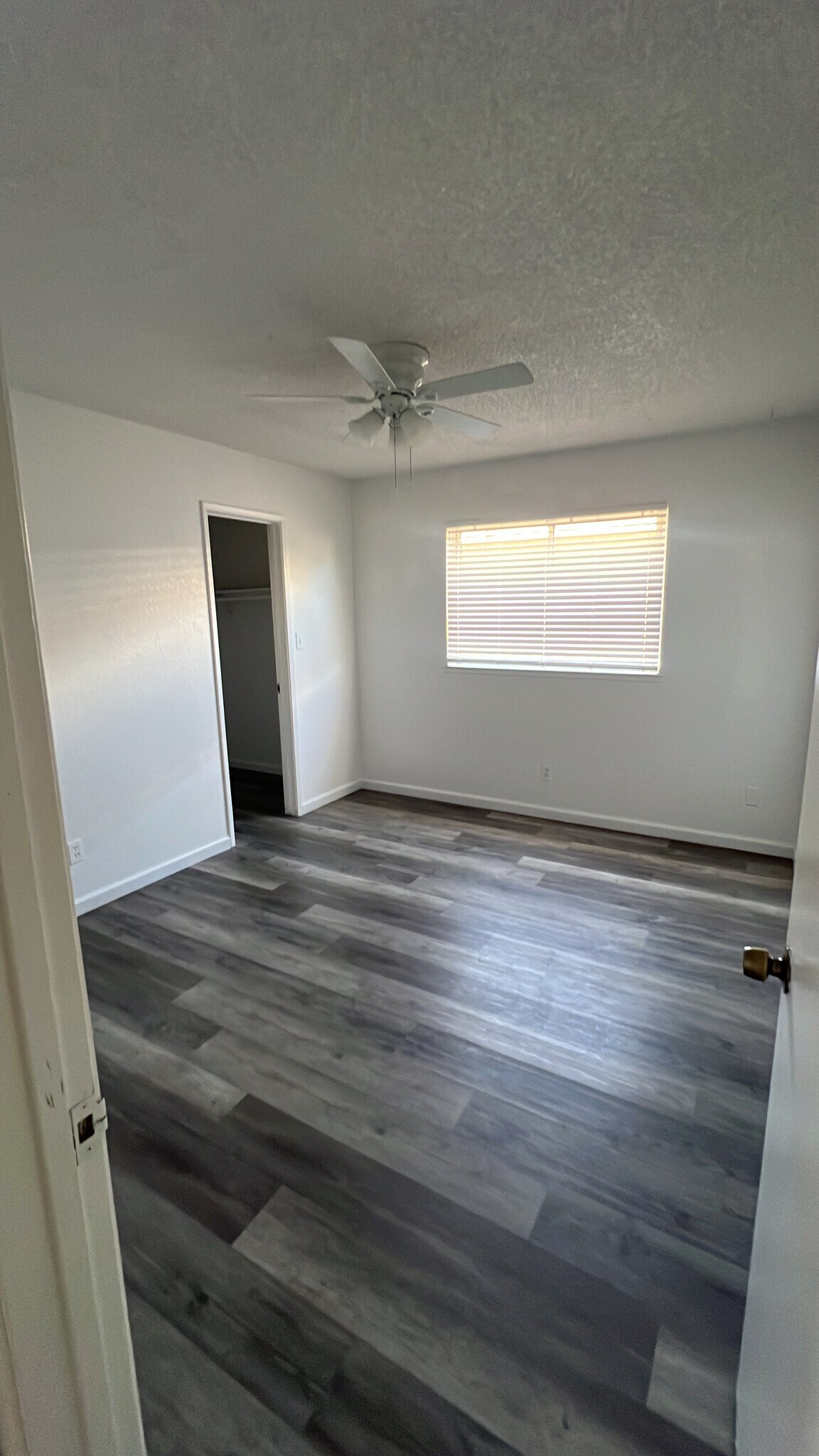Bedroom 2 - 2566 Gareth Cir