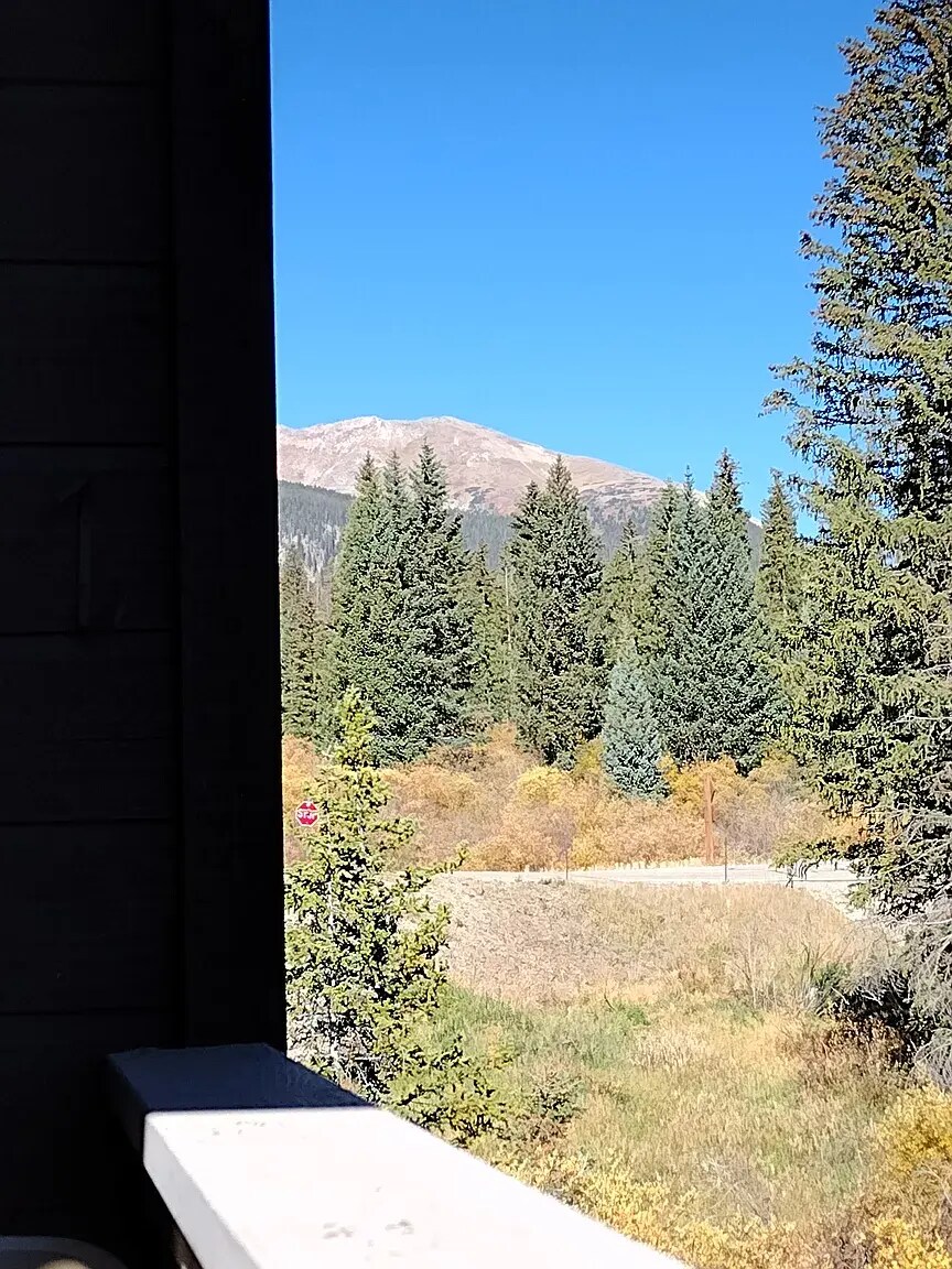 Building Photo - 10000 Ryan Gulch Rd