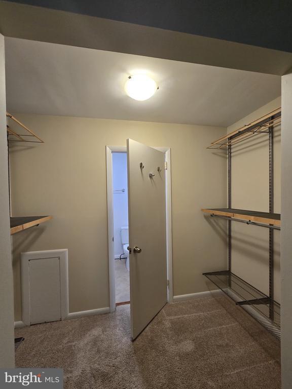 Building Photo - 11721 Newbridge Ct