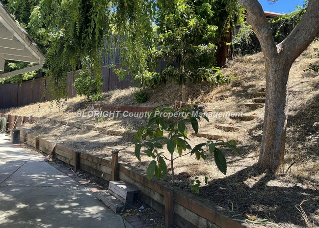 Building Photo - AVAILABLE JULY - 4 Bedroom / 3 bath