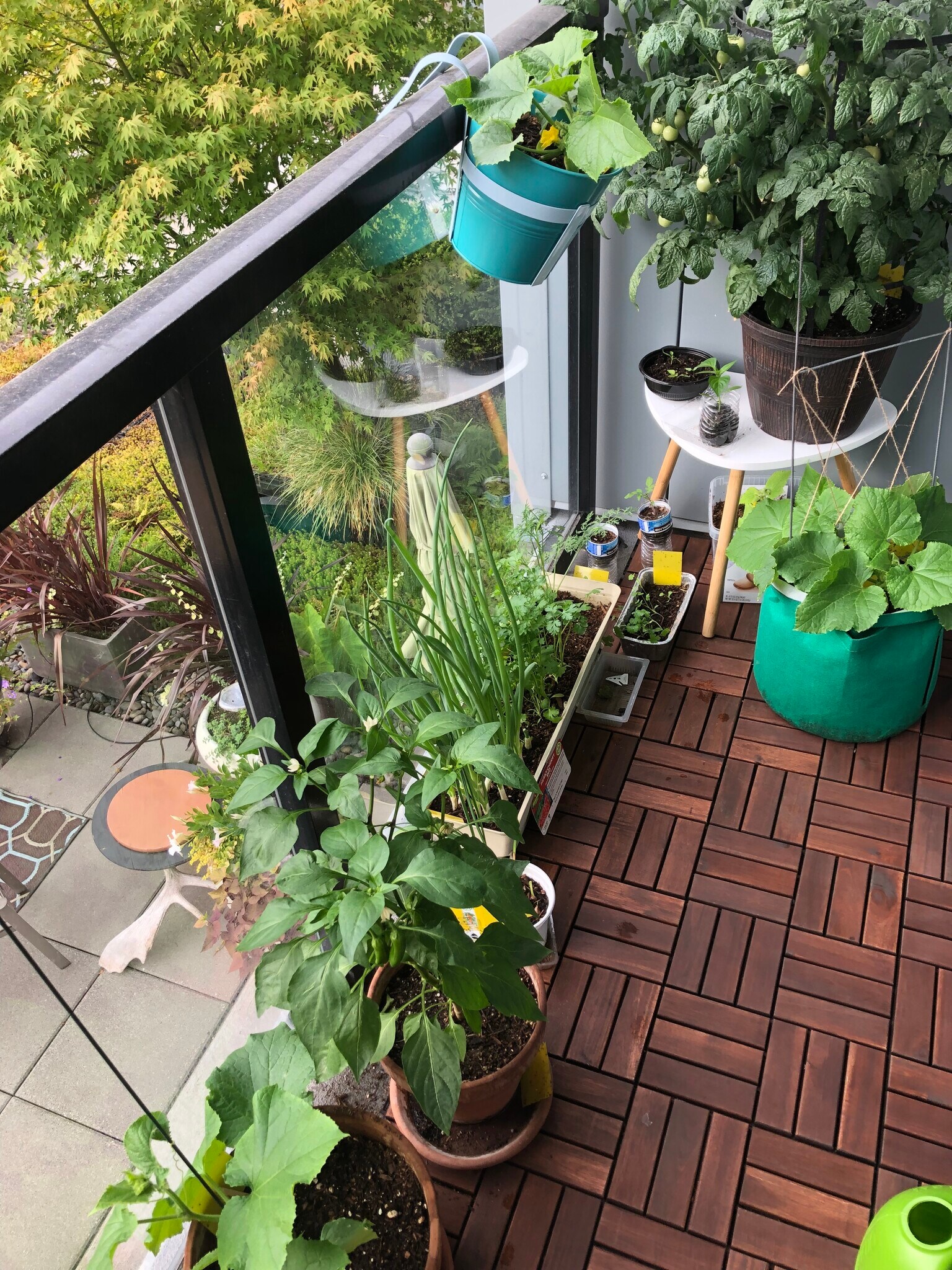 Balcony - 81 Clay St