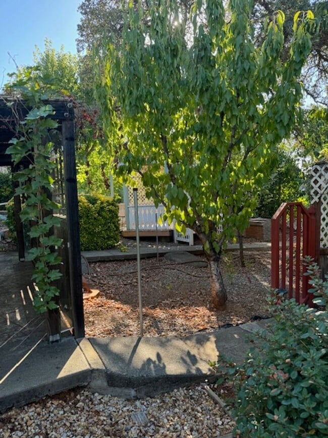 Building Photo - 3 Bedroom In Shasta View Neighborhood with...