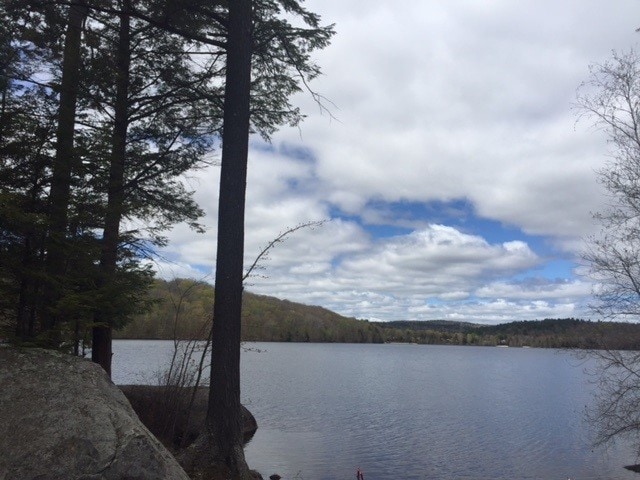 Building Photo - 42 Pleasant Dr