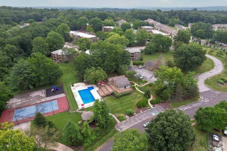 Aerial - Suson Pines