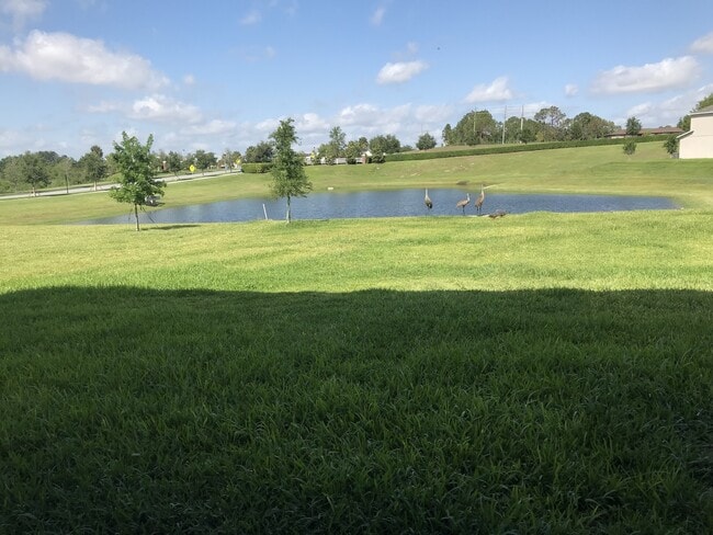 Building Photo - 7 BEDROOM 4 BATH AT INDEPENDENCE WINTER GARDEN POND VIEW NO REAR NEIGHBOR