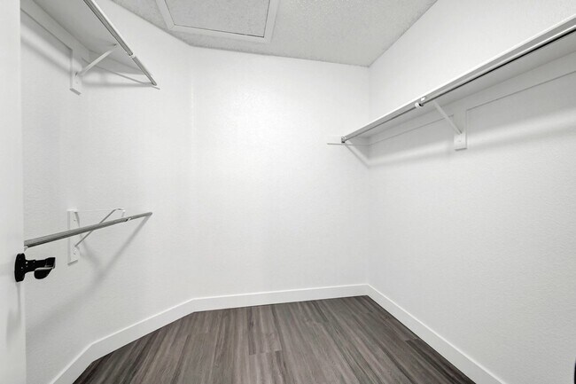 Building Photo - Fully Renovated Single Story 3bd/2bth Single Family Home