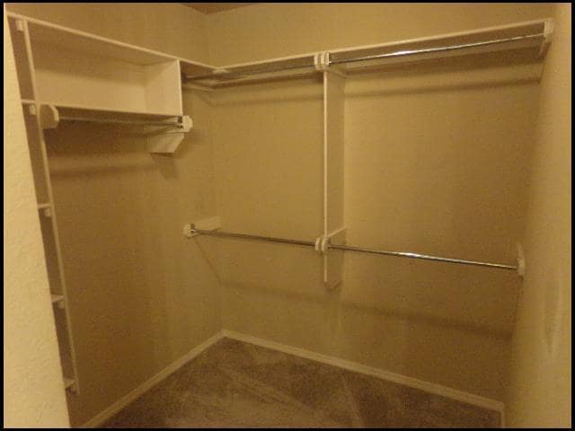 Building Photo - 316 Saunders Dr