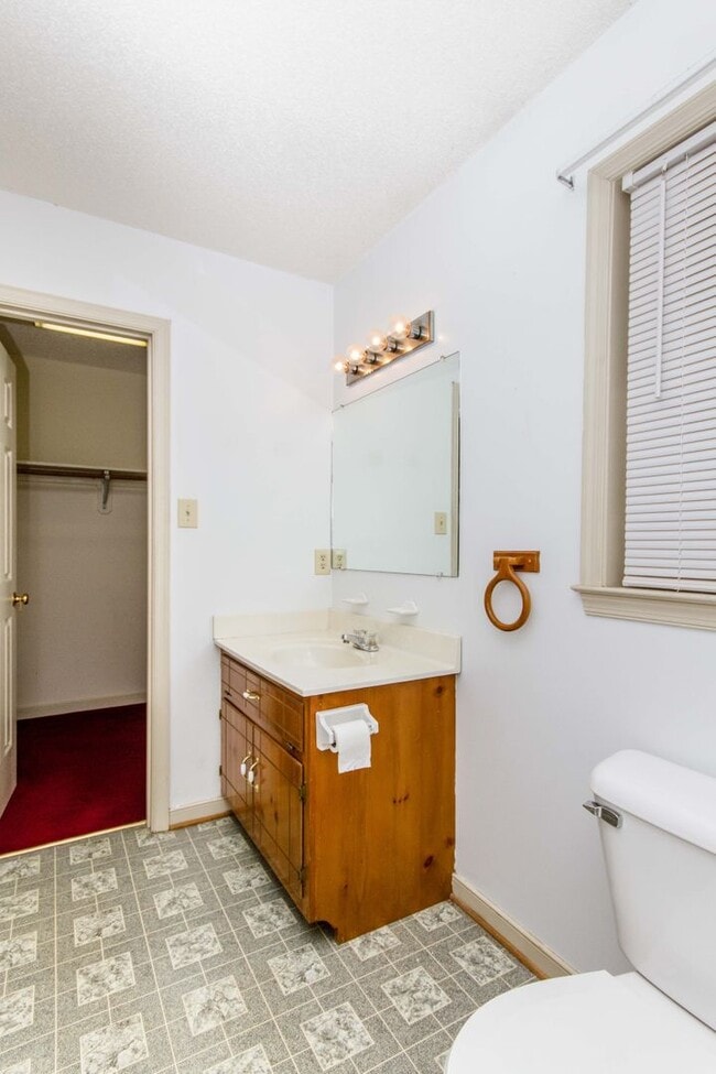 Building Photo - Charming 3BR/2BA One-Level Home with Vaulted Ceilings — Minutes to Fort Gregg-Adams — $1,795/mo!
