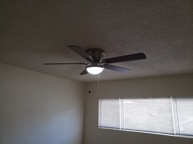 Building Photo - 1010 Wallgreen St