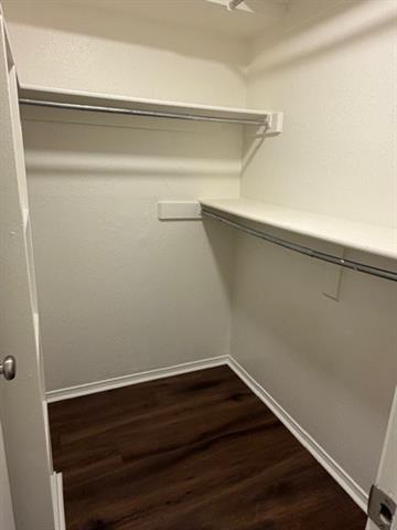 Building Photo - 505 Cedar Elm Ln