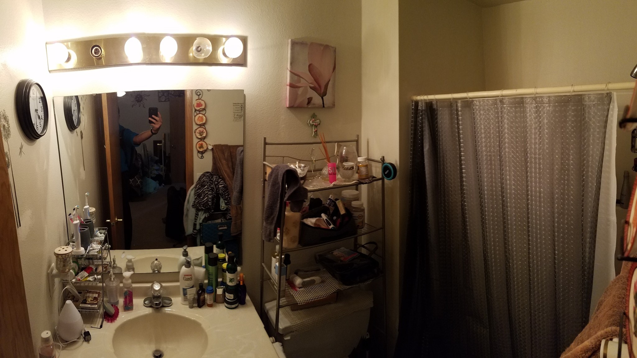 Master Bathroom - 803 S Van Buren St