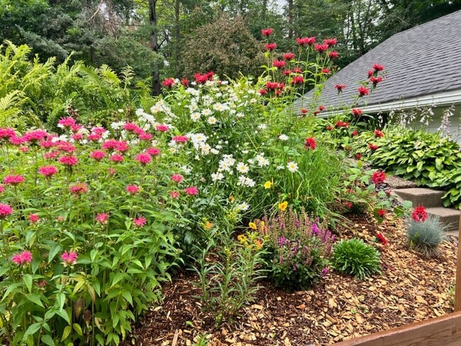 Building Photo - AVAILABLE AUGUST 1ST - Beautiful Single Fa...