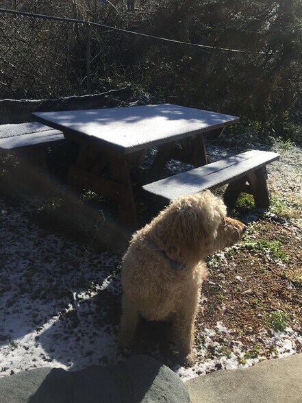 Building Photo - 13992 Irving Ln