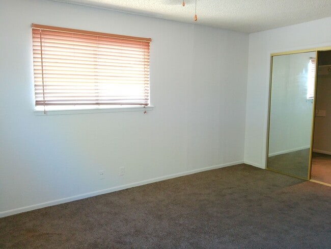 Building Photo - 4929 Cedar Pass Dr