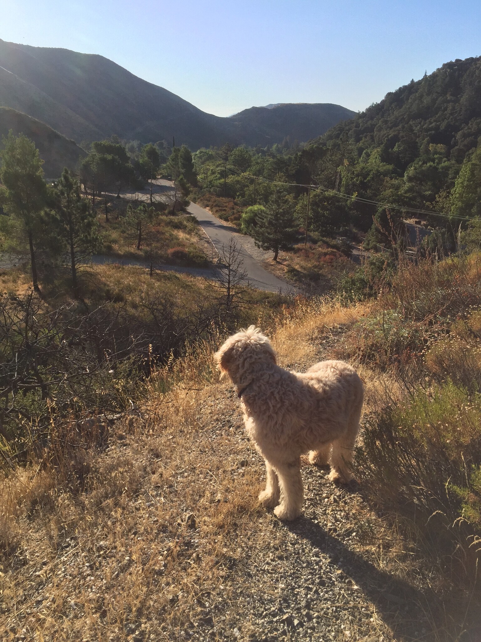 Building Photo - 13992 Irving Ln