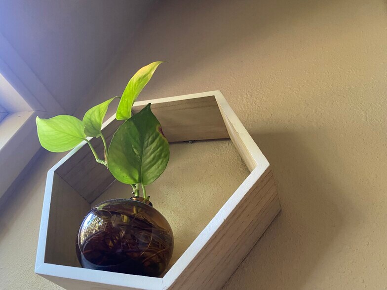 Building Photo - 216 Emporia Blvd