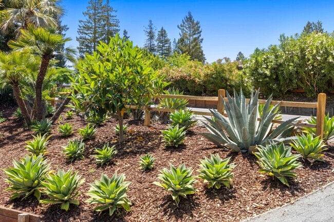 Building Photo - Spacious Menlo Park Retreat with 6 Bedroom...