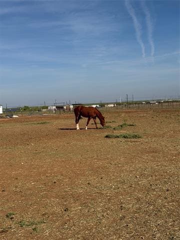 Building Photo - 4435 Hayter Rd