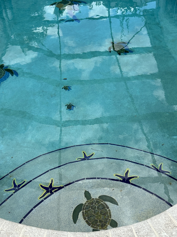 Building Photo - 14481-Sw146 SW 146th Pl