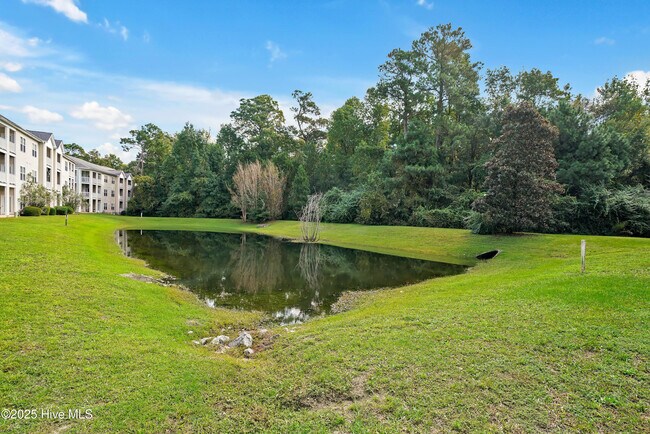 Building Photo - 4519 Sagedale Dr