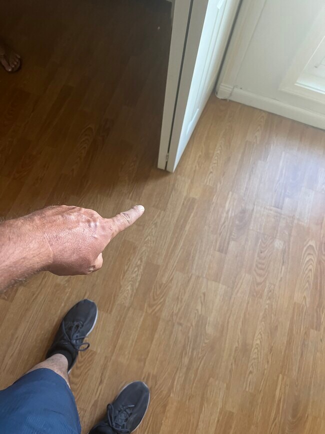 Hardwood (no carpets!) throughout the whole house - 2345 E 16th St